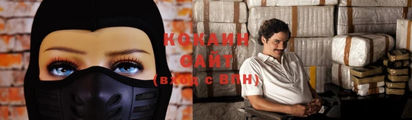 дживик Богородицк