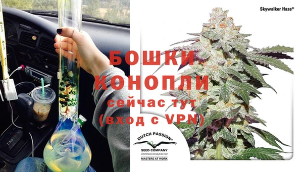 прущие грибы Богородск