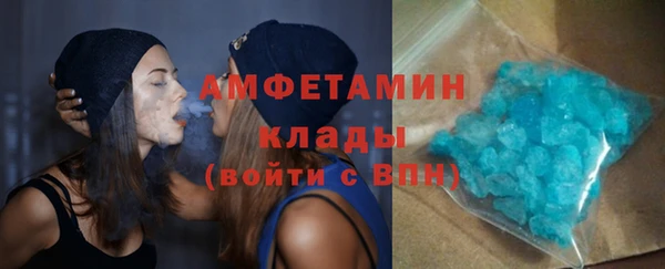 прущие грибы Богородск