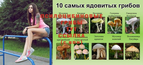 дживик Богородицк