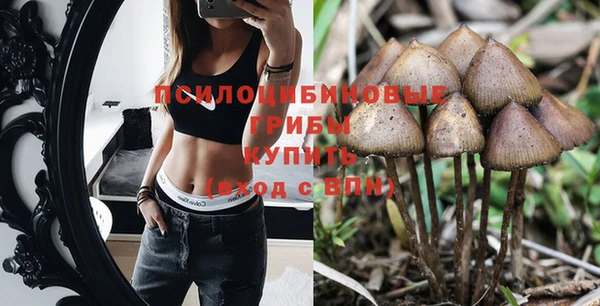 MESCALINE Богданович