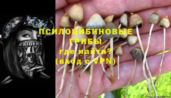 дживик Богородицк