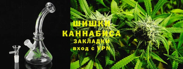 прущие грибы Богородск