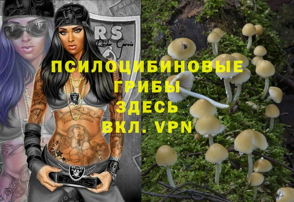 прущие грибы Богородск
