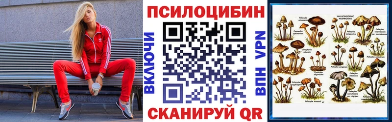 дарнет шоп  Котово  Псилоцибиновые грибы мицелий 